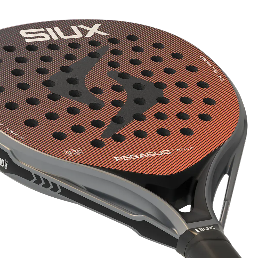 siux pegasus elite 2026webp (4).webp