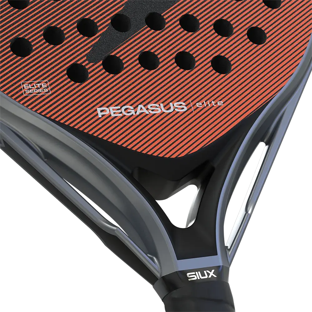 siux pegasus elite 2026webp (8).webp