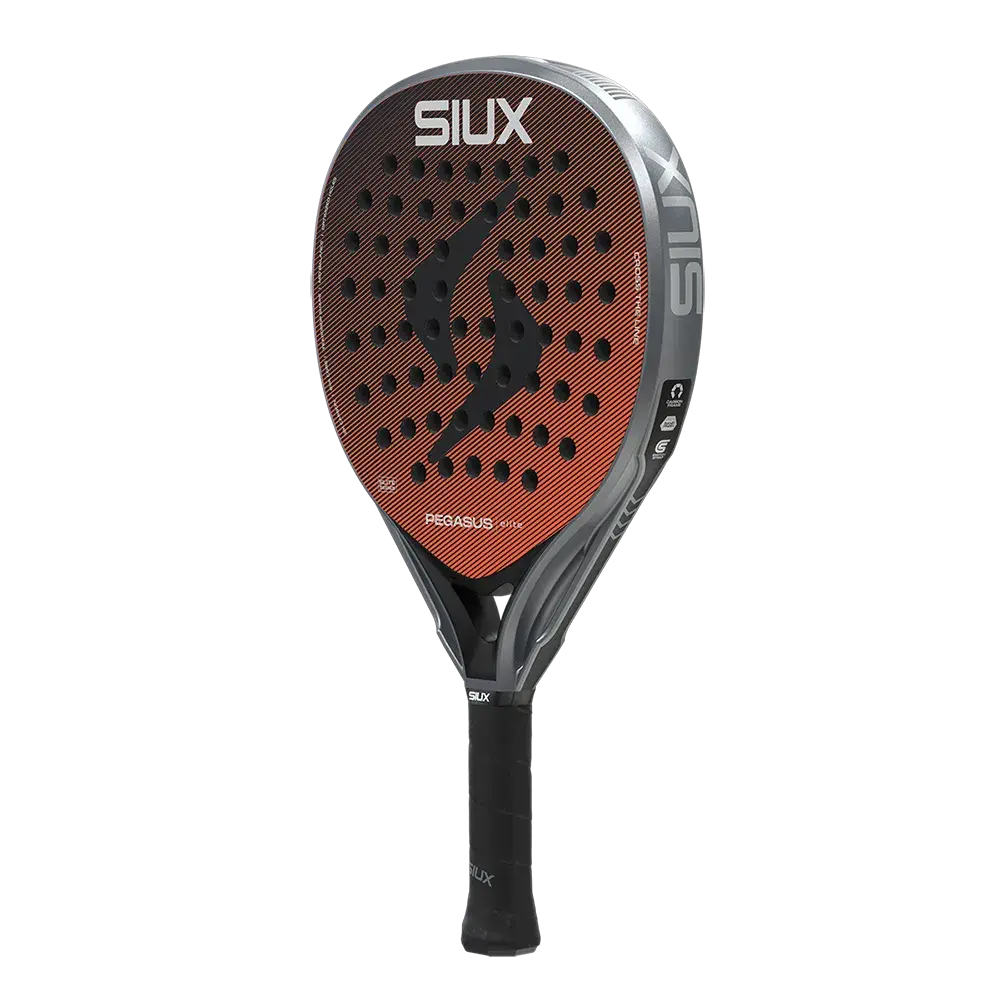 siux pegasus elite 2026webp (2).webp