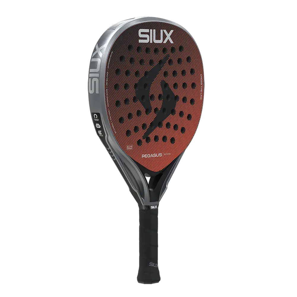 siux pegasus elite 2026webp (5).webp