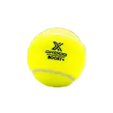 320_2bSkM1762152746138313038.webp